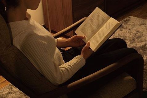 ハイバック ラウンジチェアで読書を楽しむ快適なリラックス空間