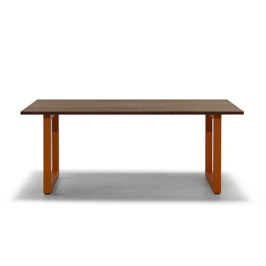 MASTERWAL｜WILDWOOD TABLE / STEEL COLOR LEGS